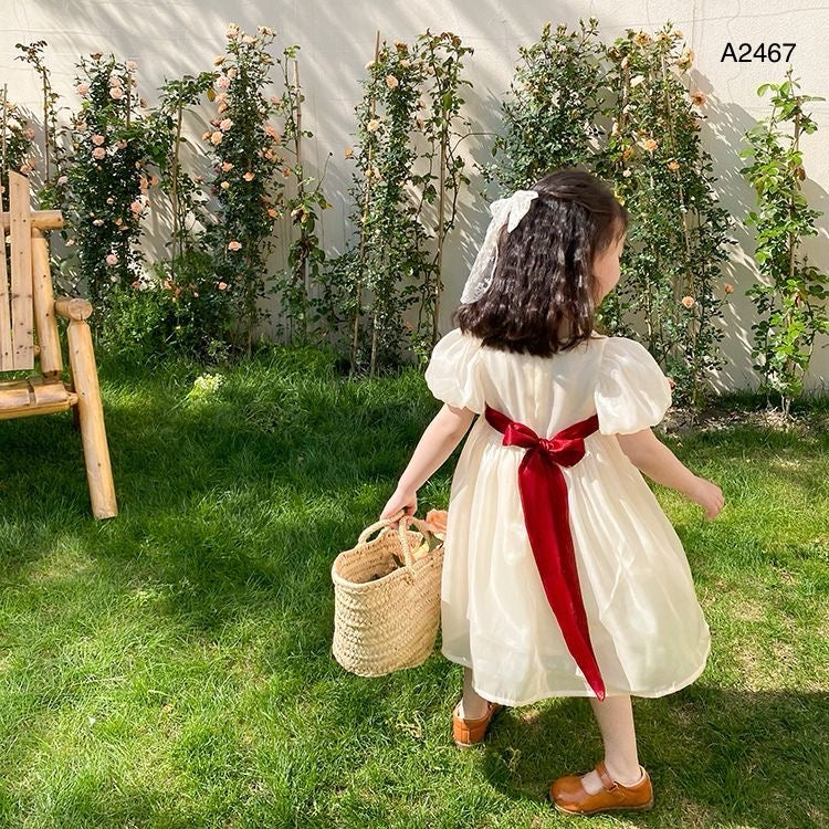فستان بناتي AA2467 | مقاس 3 إلى 7